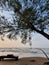 Beach and tree waves landscape alam