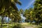 Beach on the tropical island. Clear blue water, sand and palm trees in Tahiti.