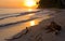 The beach on the tropical island. Dawn. Indonesia. Indian Ocean.