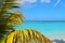 Beach Tropical Paradise Palms Vacation Sea