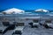 Beach umbrellas and deckchairs near the sea