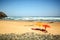 Beach umbrellas in the sand at beach Praia do Vale dos Homens near Aljezur, Algarve