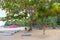 Beach vendors sell beach beds, parasols and drinks