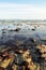 Beach, Ventura, California