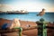 Beach view of Brighton Pier the nature public place with breakwater rock, people, bird and Brighton Pier