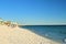 Beach view with oceanfront hotels and vacationers