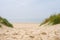 Beach view from the path sand between the dunes at Dutch coastline. Marram grass, Netherlands.