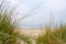 Beach view from the path sand between the dunes at Dutch coastline. Marram grass, Netherlands.