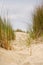 Beach view from the path sand between the dunes at Dutch coastline. Marram grass, Netherlands.