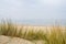 Beach view from the path sand between the dunes at Dutch coastline. Marram grass, Netherlands.