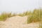 Beach view from the path sand between the dunes at Dutch coastline. Marram grass, Netherlands.