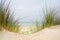 Beach view from the path sand between the dunes at Dutch coastline. Marram grass, Netherlands.