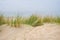 Beach view from the path sand between the dunes at Dutch coastline. Marram grass, Netherlands.
