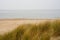 Beach view from the path sand between the dunes at Dutch coastline. Marram grass, Netherlands.