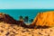 Beach viewed from the cliffs of Morro Branco, CearÃ¡, northeast Brazil.