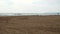 A Beach, with a visible horizon line, and sand with visible tyre tracks