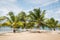 Beach volleyball field with palm trees and ocean background