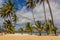 Beach volleyball net at a beach in Las Galeras, Dominican Republ