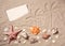Beach wallpaper sand and shells. Summer background with starfish. Holiday card with copy space