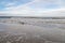 Beach at Warnemuende Rostock daytime