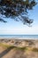 Beach at Warnemuende Rostock daytime with blue sky