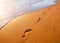 Beach, wave and footprints at sunset time