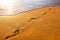 Beach, wave and footprints at sunset time