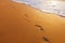 Beach, wave and footsteps at sunset time