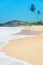 Beach with waves against rock and palm trees in sunny day