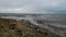 Beach at West Mersea, Essex, England 9