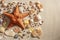 Beach white sand starfish many shells summer