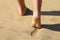Beach woman legs feet walking barefoot on sand leaving footprints on golden sand in sunset. Vacation travel freedom people