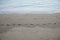 Beach, wool and beach footprints