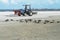 Beach worker cleaning the sand on Fort Myers Beach, Florida