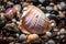 beachcomber finds rare shell amidst the usual seashells and pebbles