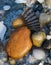 Beachcombing collage at the Jersey shore