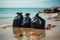 Beachcombing efforts result in bags filled with plastic and waste