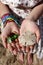 Beachcombing Treasures - Sand Dollar, Shells & Beach Glass