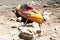 Beached kayak tied to a rock