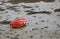 beached RED Boat on the muddy bottom of the sea at low tide