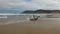 Beached young sperm whale - view from the head