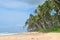 Beaches of Sri Lanka. The sea beach of Sri Lanka. Palm trees, coconuts, white sand, ocean.