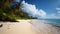 Beachfront bliss, stunning tropical beach, azure seas, and pure bliss by the shore