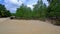 Beachfront With Clean Sand And Forest Avicennia Marina