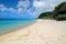 Beachfront fales and exotic turquoise water of Lalomanu beach in Samoa, Upolu Island