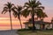 a beachfront house with a palm tree in the front yard