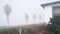 Beachfront house and palm trees in fog, Ocean Beach, misty California coast.