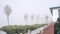 Beachfront house and palm trees in fog, Ocean Beach, misty California coast.