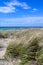 Beachgrass along sand dunes on Lake Michigan shoreline