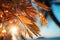 Beachside allure Blurred palm, bokeh background enhance sandy scene, embodying summer escape